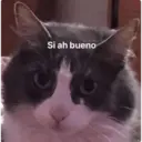 Stika