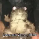 Límmiði