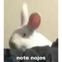 ملصق
