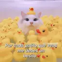 Çıkartma