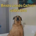 Figurinha