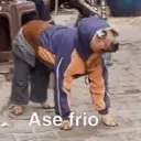 اسٹیکر