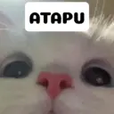 اسٹیکر