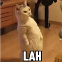 اسٹیکر