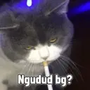 Naljepnica