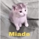 Çıkartma