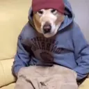 Стикер