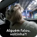 Figurinha