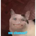 استیکر