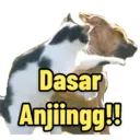 Límmiði
