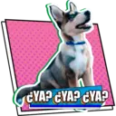 Stiker