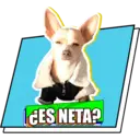 Stiker