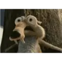 स्टिकर