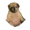 استیکر