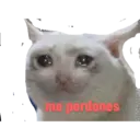 استیکر