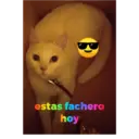 स्टिकर