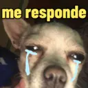 ملصق