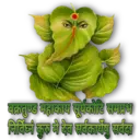 ਸਟਿਕਰ