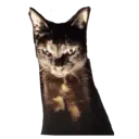 Naklejka