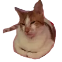 Naklejka
