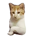 Naklejka
