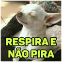 Stika
