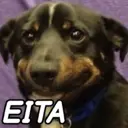 Figurinha