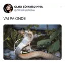 Samolepka