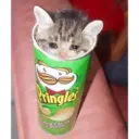 Figurinha