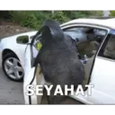 Çıkartma