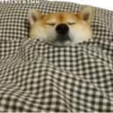 Samolepka
