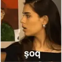 Çıkartma