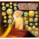 Stika