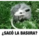 Stika