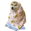 Samolepka