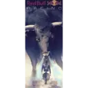 Pelekat
