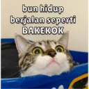Stiker