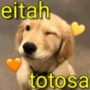 Figurinha
