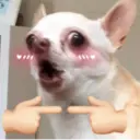 ملصق