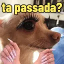 ملصق