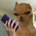 ملصق