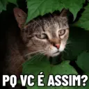 Figurinha