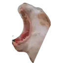 Naklejka