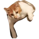 Naklejka