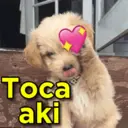 ملصق