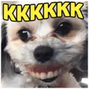 Stika