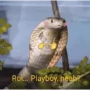 Samolepka