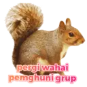 Stiker