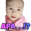 Límmiði