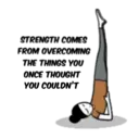 Samolepka